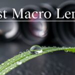 Best Macro Lenses