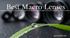 Best Macro Lenses