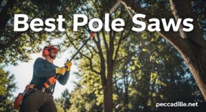 Best Pole Saws