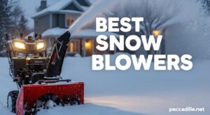 Best Snow Blowers