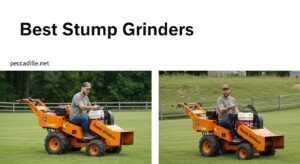 Best Stump Grinders