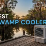 Best Swamp Coolers