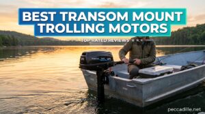 Best Transom Mount Trolling Motors