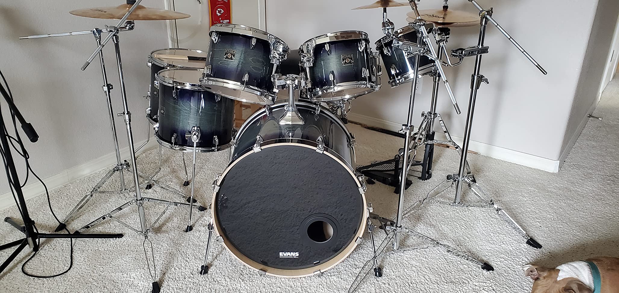 Evans EC Reverse Dot Snare Drum Head - 14 Snare Drum Head - Featuring Reverse Dot for Durability, Focus, Attack - Coated with 2 Plies - 14 Inch customer photo 1