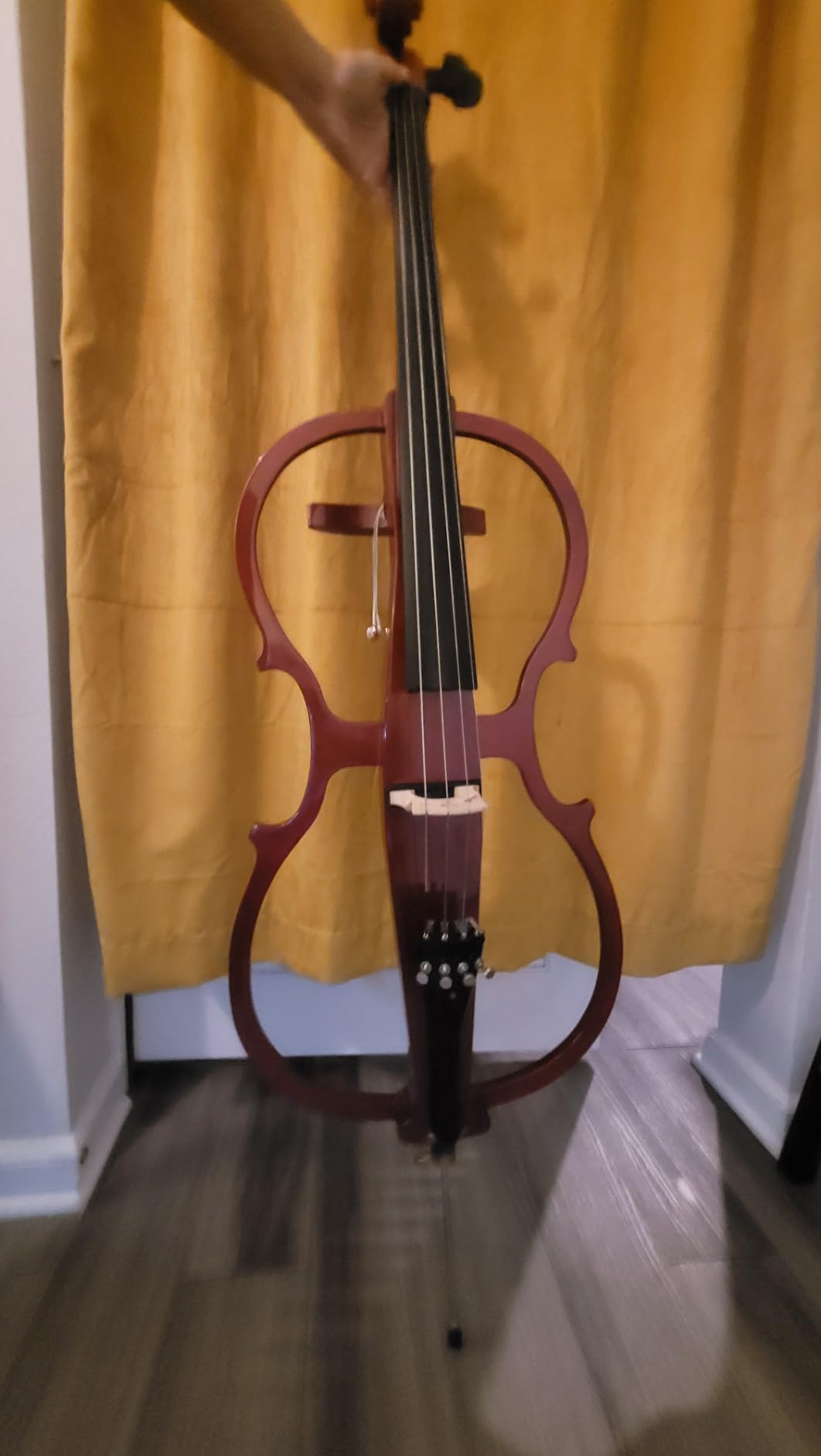 Cecilio 4/4 Electric Cello with Ebony Fittings, Professional Silent Electric Cello Kit with Bow, Rosin, Aux Cable and Headphone, Black Metallic customer photo 2