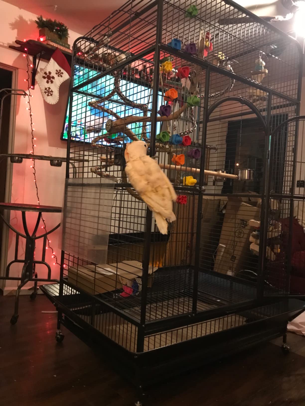 Prevue Pet Products Empire Bird Cage, X-Large, Black Hammertone,46