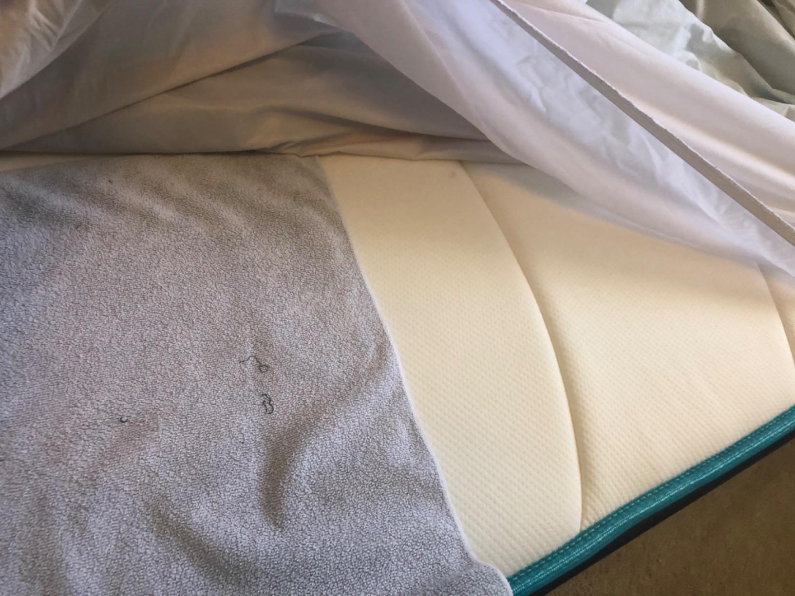 Linenspa Waterproof Mattress Protector - Breathable, Noiseless, Queen Size customer photo 1
