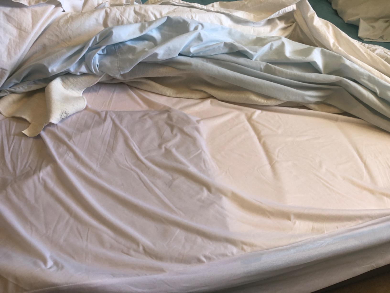 Linenspa Waterproof Mattress Protector - Breathable, Noiseless, Queen Size customer photo 2