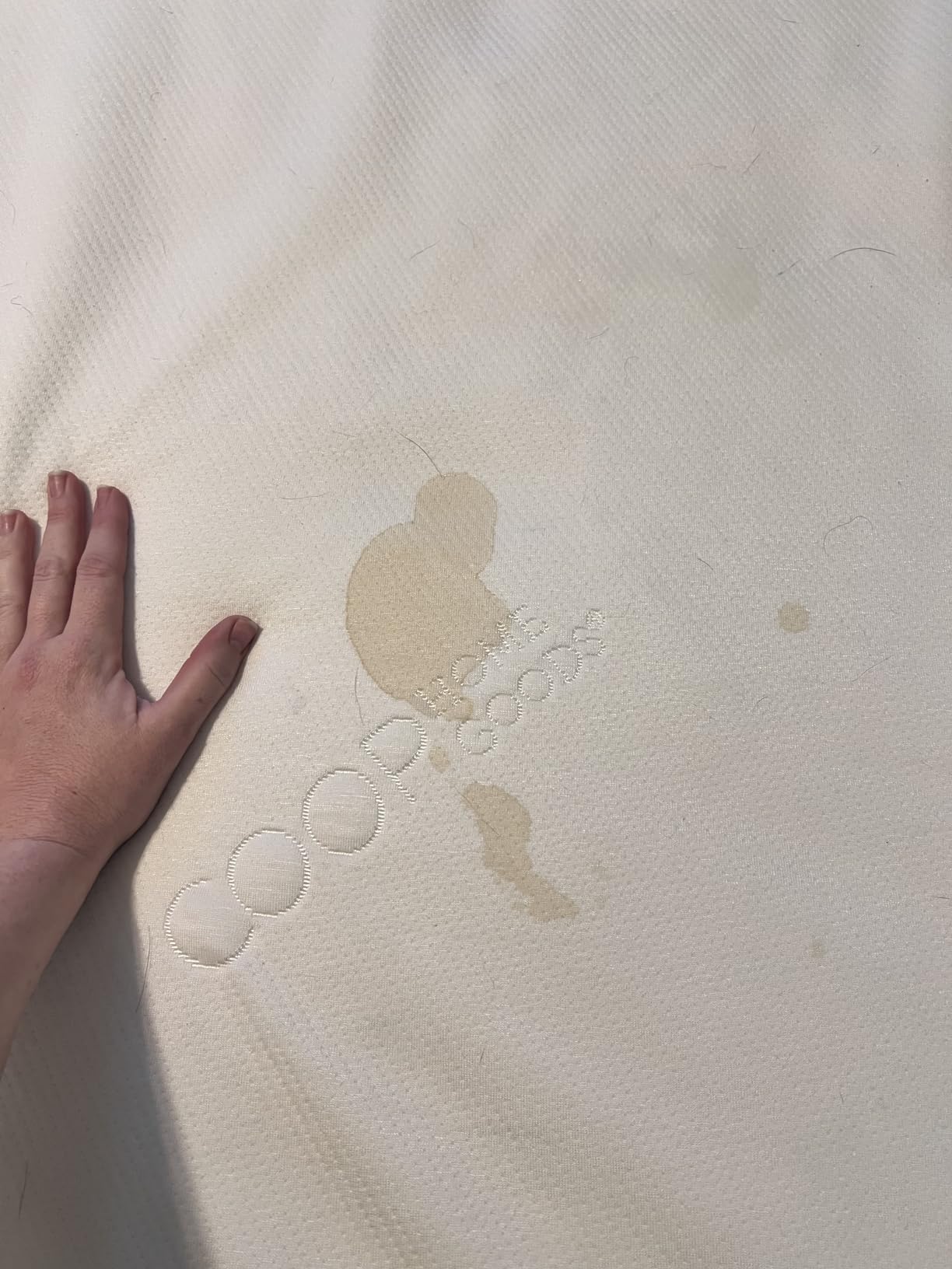 Coop Home Goods Ultra Tech Waterproof Mattress Protector Queen, Smooth Top Mattress Pad, Waterproof Mattress Cover, 18 Deep, Machine Washable Mattress Topper, Noiseless Comfort (60x80) customer photo 2