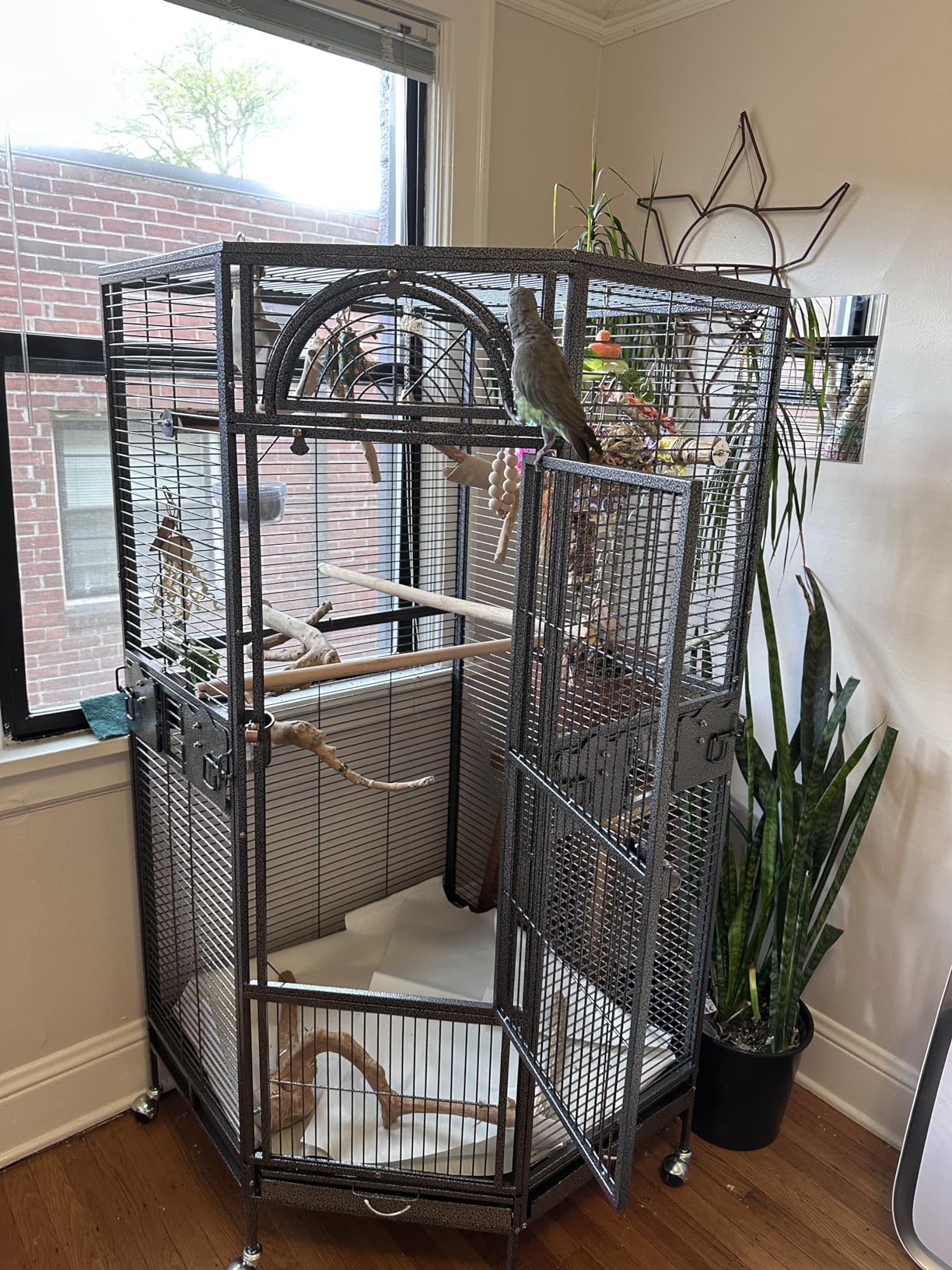 Parrot Escape Jumbo Corner Bird Cage Aviary (X-Large) customer photo 1