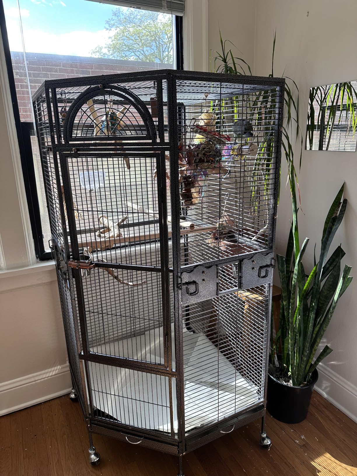 Parrot Escape Jumbo Corner Bird Cage Aviary (X-Large) customer photo 2