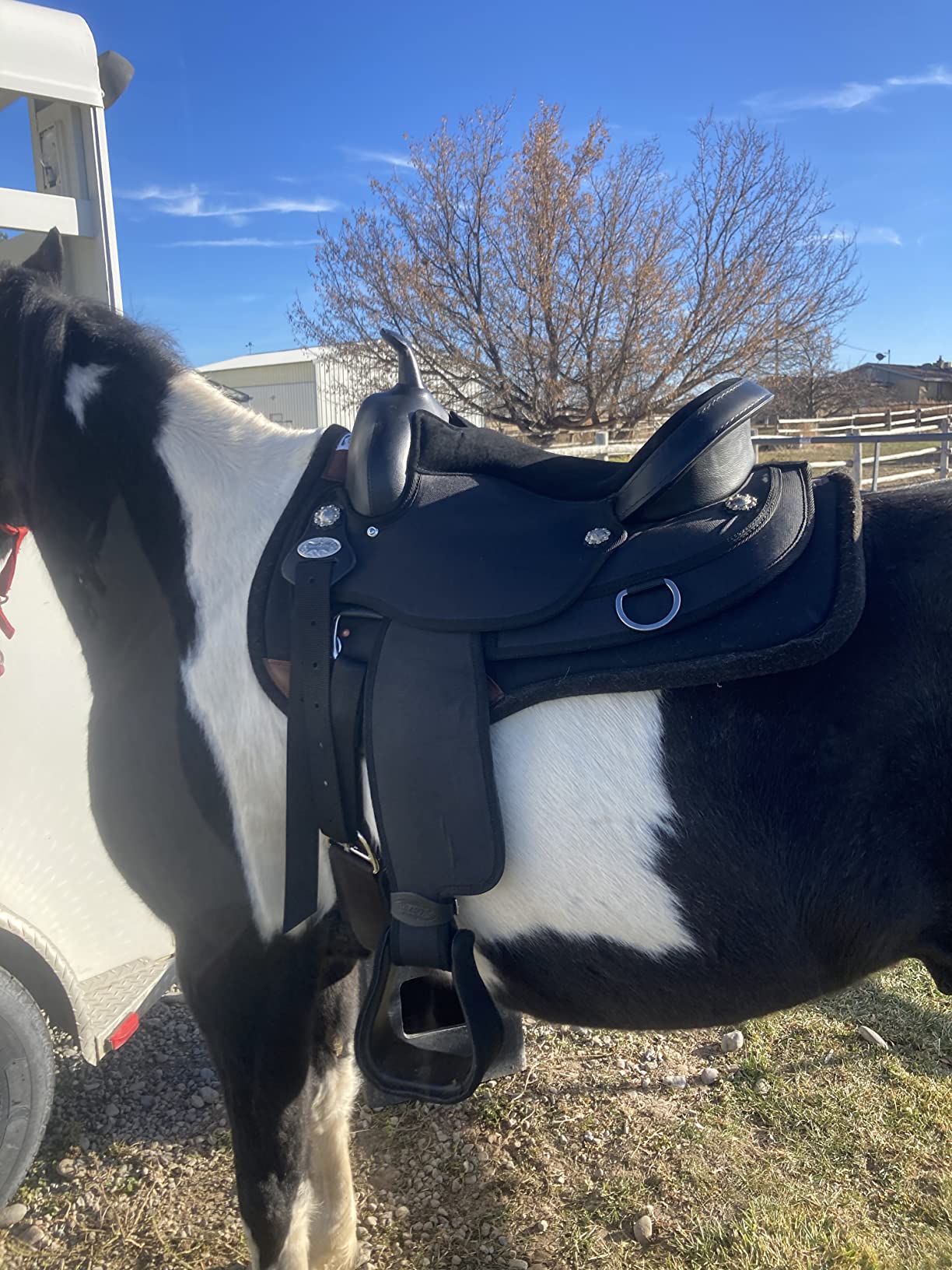 HILASON Flex Tree Western Horse Saddle Cordura Synthetic Trail & Pleasure | for Horses customer photo 1