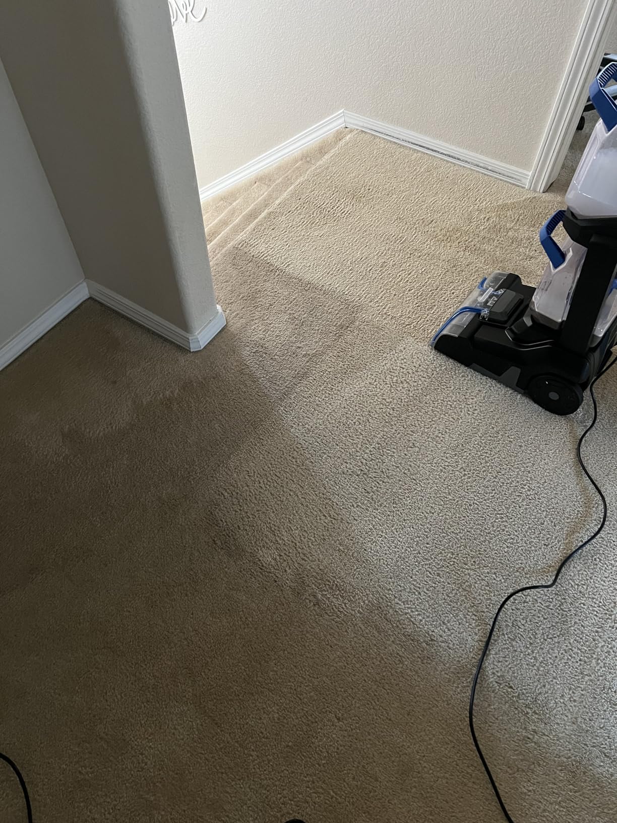 Bissell PET PRO OXY Urine Eliminator with Febreze Carpet Deep Clean Solution, with StainProtect Technology, for use in leading upright carpet cleaners, 48oz customer photo 2
