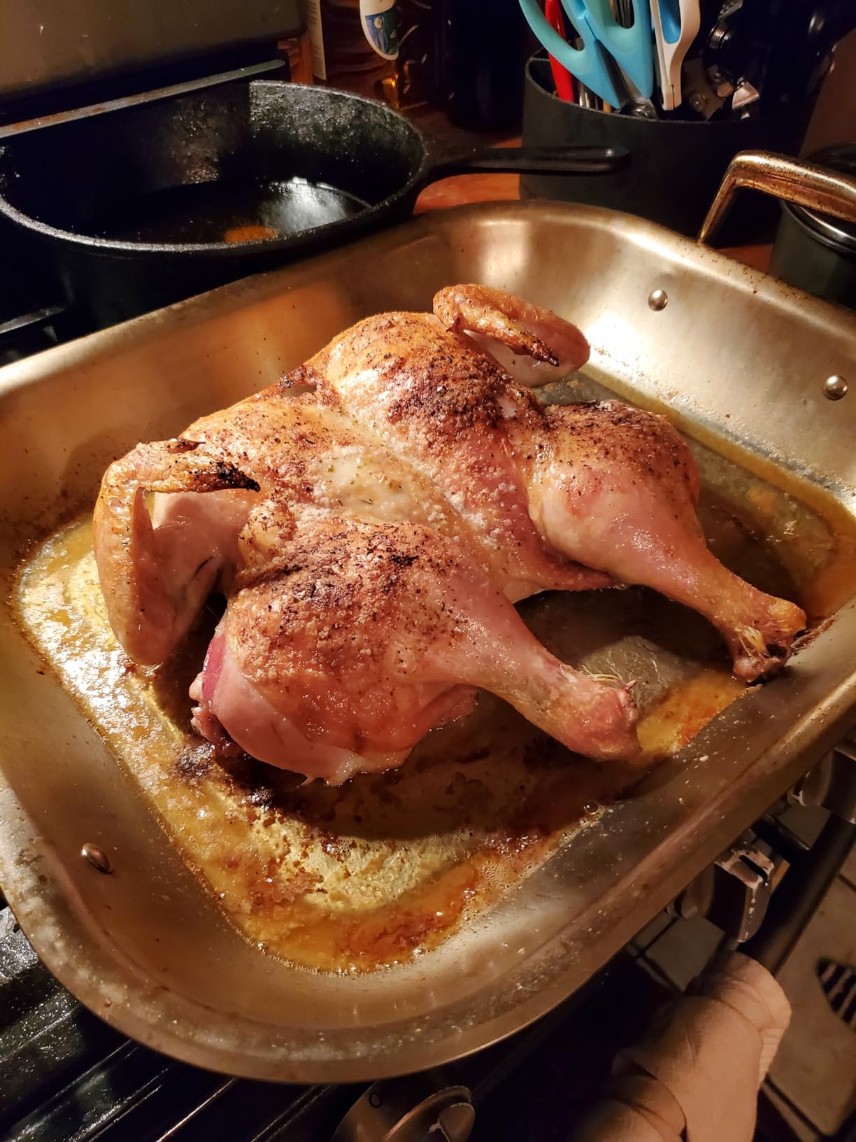 Tramontina 16.75-Inch Stainless Steel Roasting Pan with Rack, Flared Edge Turkey Roaster for Oven, Dishwasher Safe, Made in Brazil customer photo 1