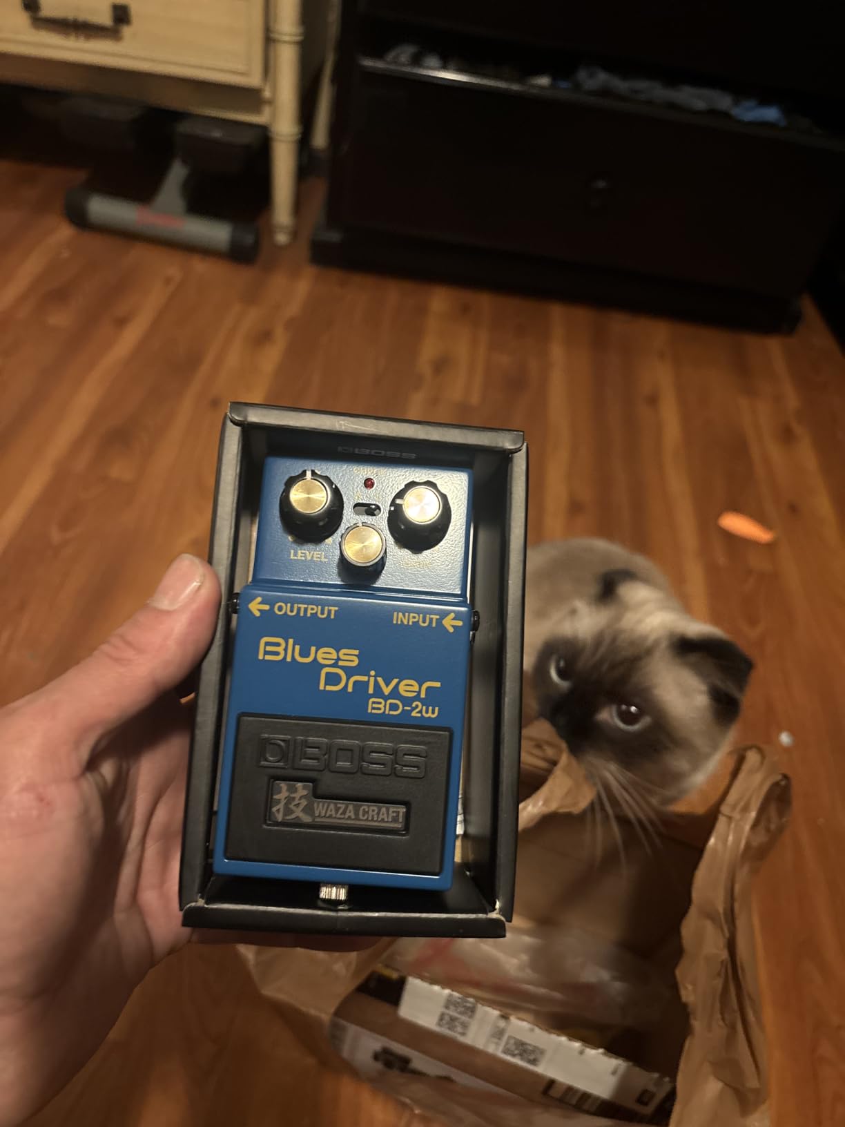 BOSS DC-2W WAZA Craft Dimension C Guitar Pedal customer photo 2