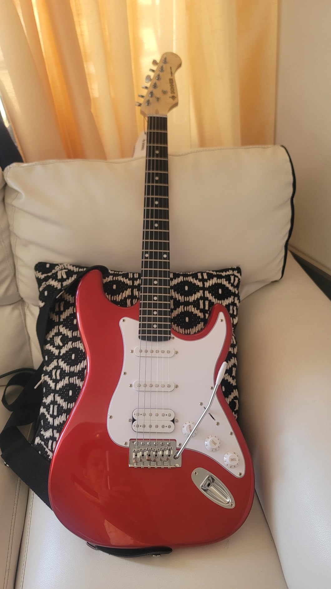Donner DST-100T 39 Inch Electric Guitar Beginner Kit Solid Body Full Size Lake Blue HSS Pick Up for Starter, with Amplifier, Bag, Digital Tuner, Capo, Strap, String, Cable, Picks customer photo 2