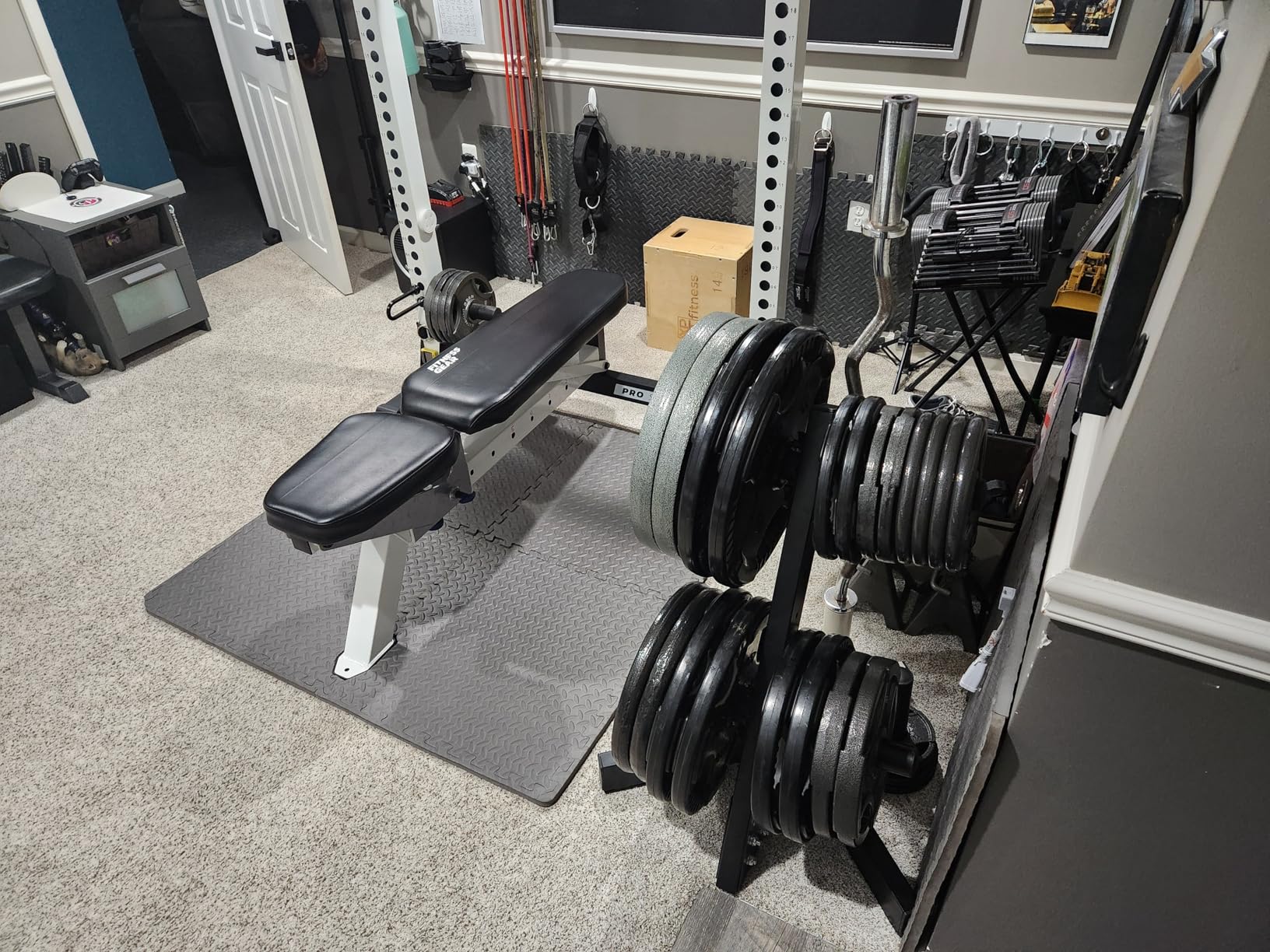 Cap Olympic Plate Tree Storage Rack for Weights & Barbells, Heavy-Duty Steel Weight Plate Organizer for 2-Inch Olympic Plates, Space-Saving Storage Rack, 300lb Capacity customer photo 1
