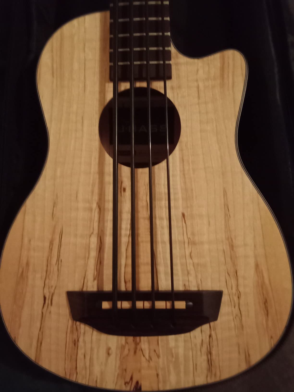 Spalted Maple Acoustic-Electric U-BASS customer photo 1