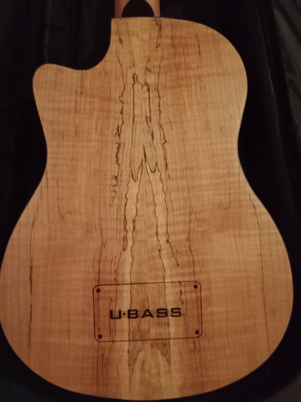 Spalted Maple Acoustic-Electric U-BASS customer photo 2