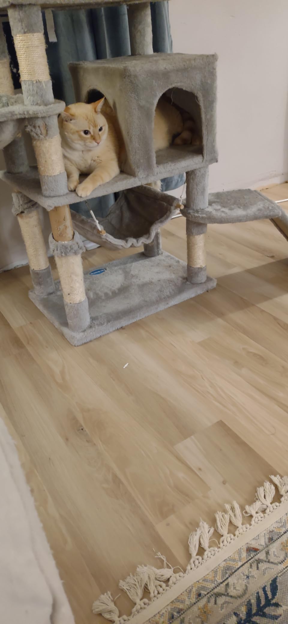 LUCiDA SURFACES Luxury Vinyl Floor Tiles - Peel & Stick Adhesive Flooring for DIY Installation - 36 Wood-Look Planks - BaseCore - 54 Sq. Feet customer photo 2