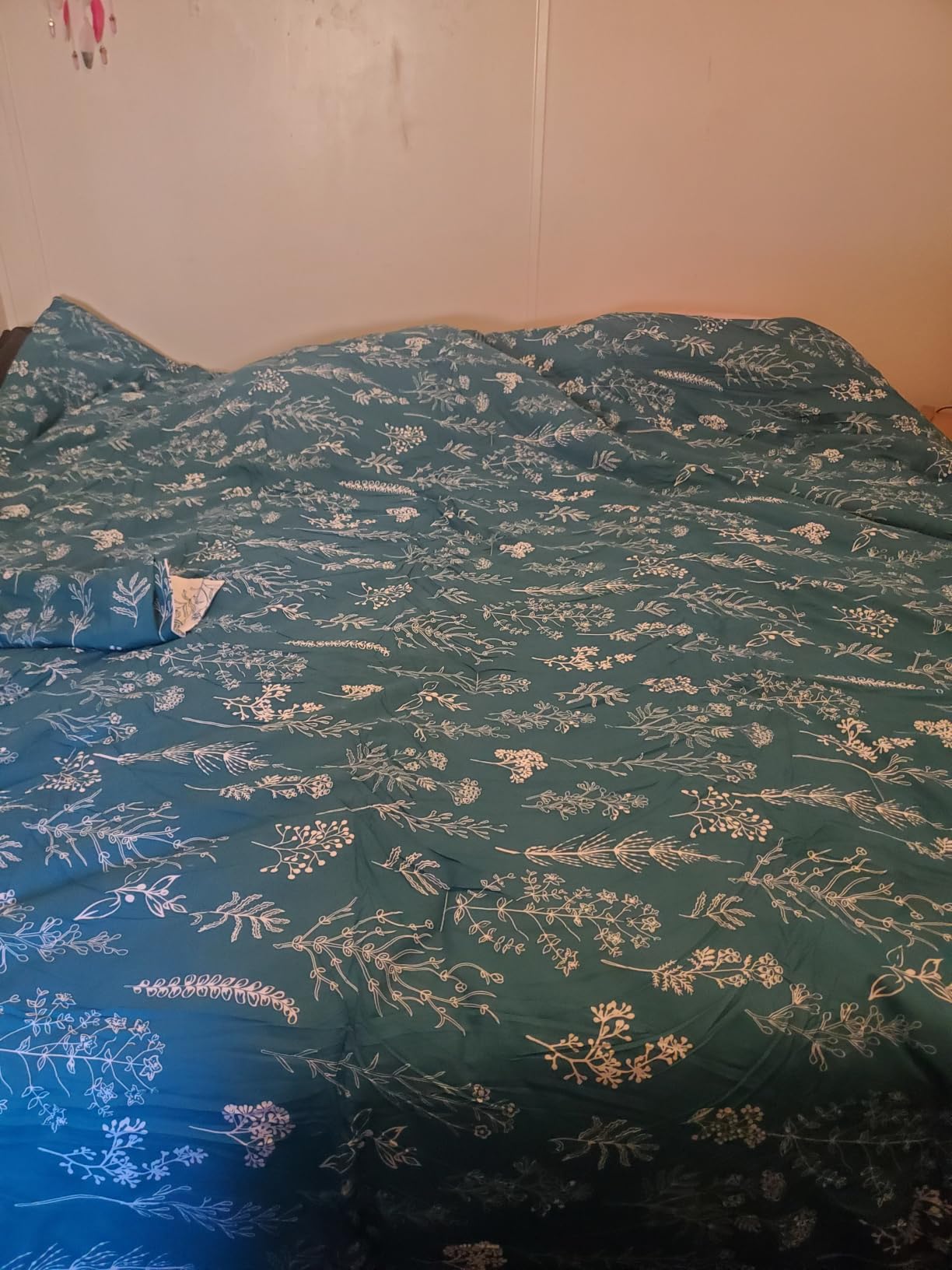 Bedsure Queen Comforter Set - Sage Green Bed Set, 3 Pieces Lightweight Summer Cute Floral Bedding, 1 Soft Reversible Botanical Flowers Comforter and 2 Pillow Shams customer photo 2