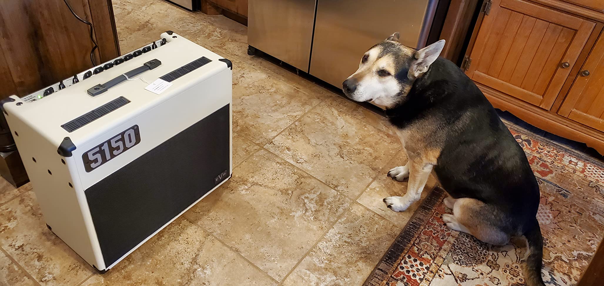 EVH 5150 Iconic Series EL34 40W 1x12 Tube Combo Amp - Black/Gold customer photo 1