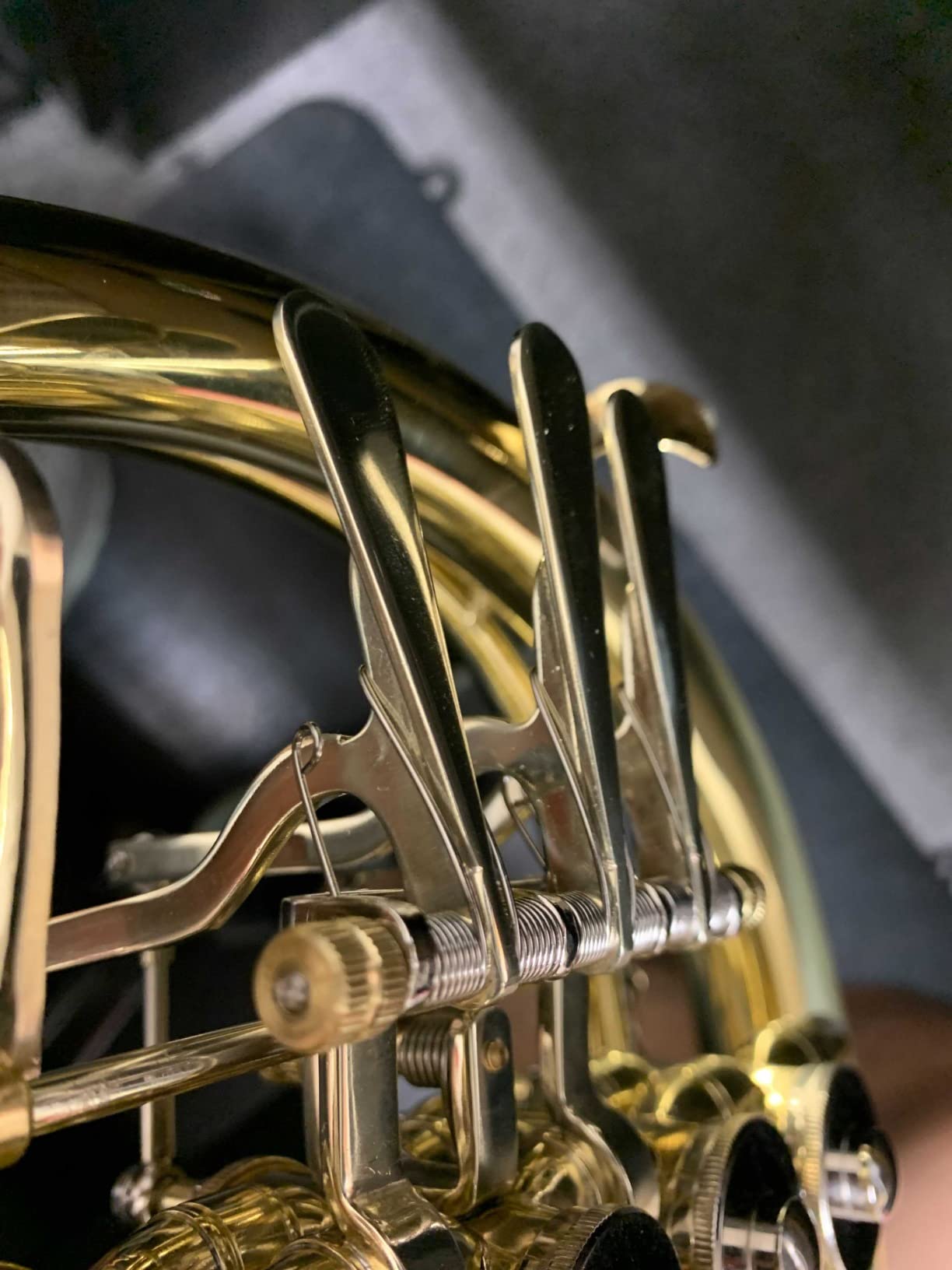 ROWELL Double French Horn F/Bb 4 Keys Gold Lacquer Intermediate with Case, Mouthpiece Gloves and Polishing Cloth customer photo 1