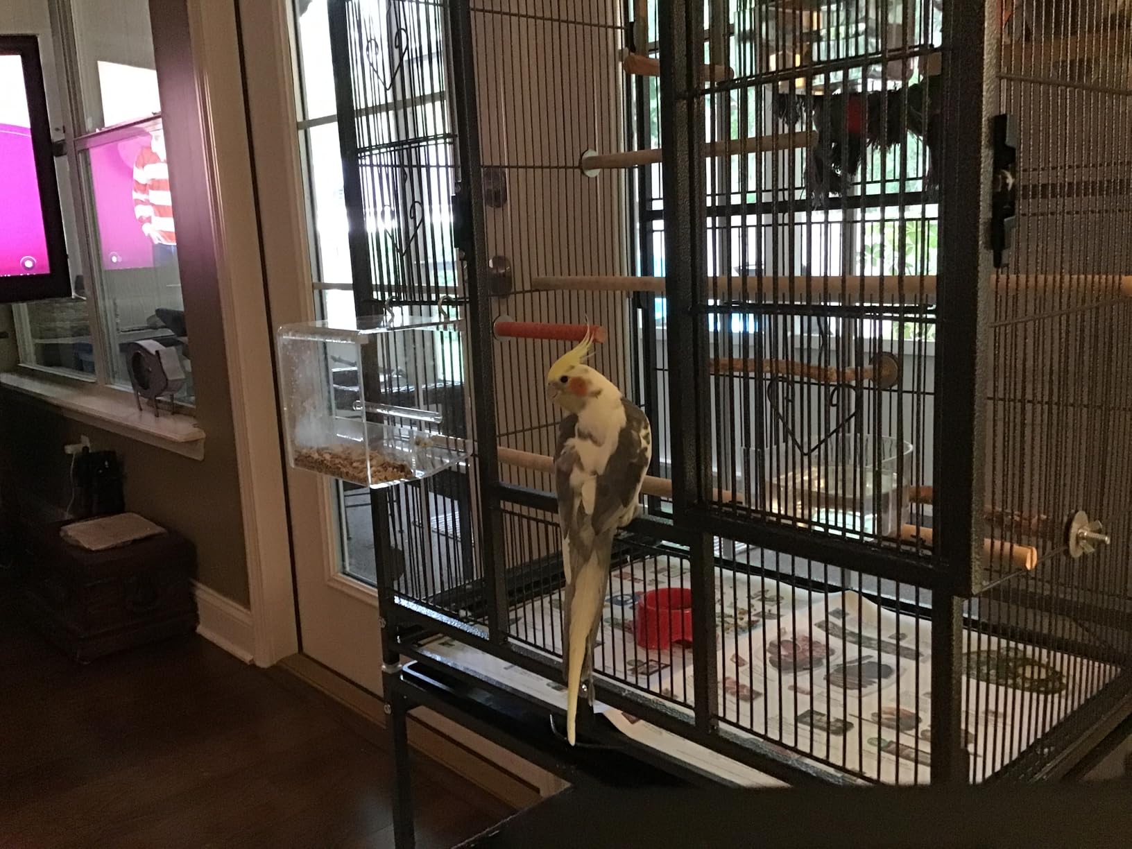 VIVOHOME 54 Inch Wrought Iron Large Bird Flight Cage with Rolling Stand for Parakeets Canaries Cockatiels Lovebirds Conures, White customer photo 2