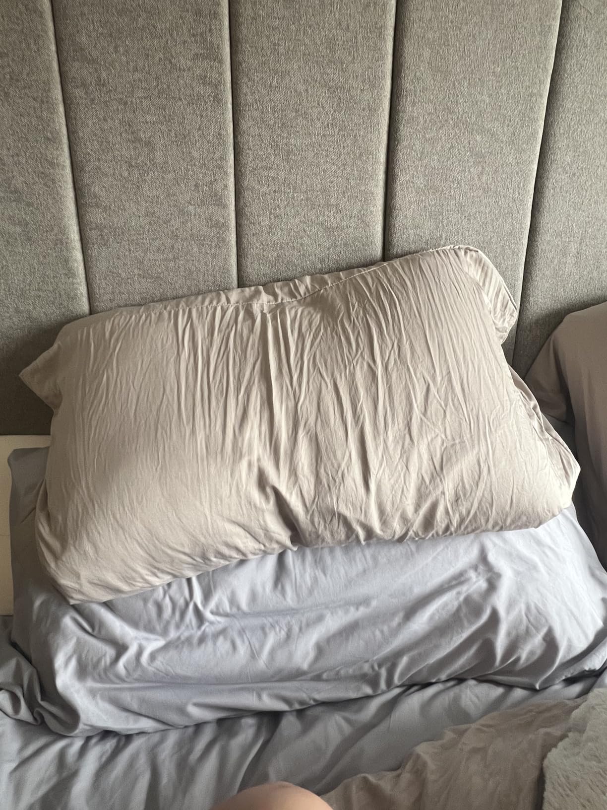 Casper Sleep Essential Pillow 2-Pack, Standard Size - Medium Soft Feel, Down-Alternative Fill, Supports Side, Back & Stomach Sleepers customer photo 1