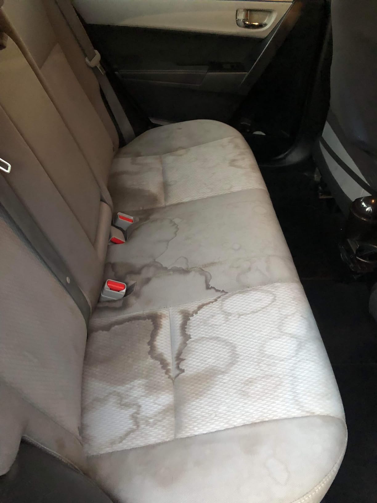 Hoover ONEPWR CleanSlate Cordless Portable Carpet + Upholstery Spot Cleaner Machine, Powerful Suction, Versatile Tools, Car and Auto Detailer customer photo 1