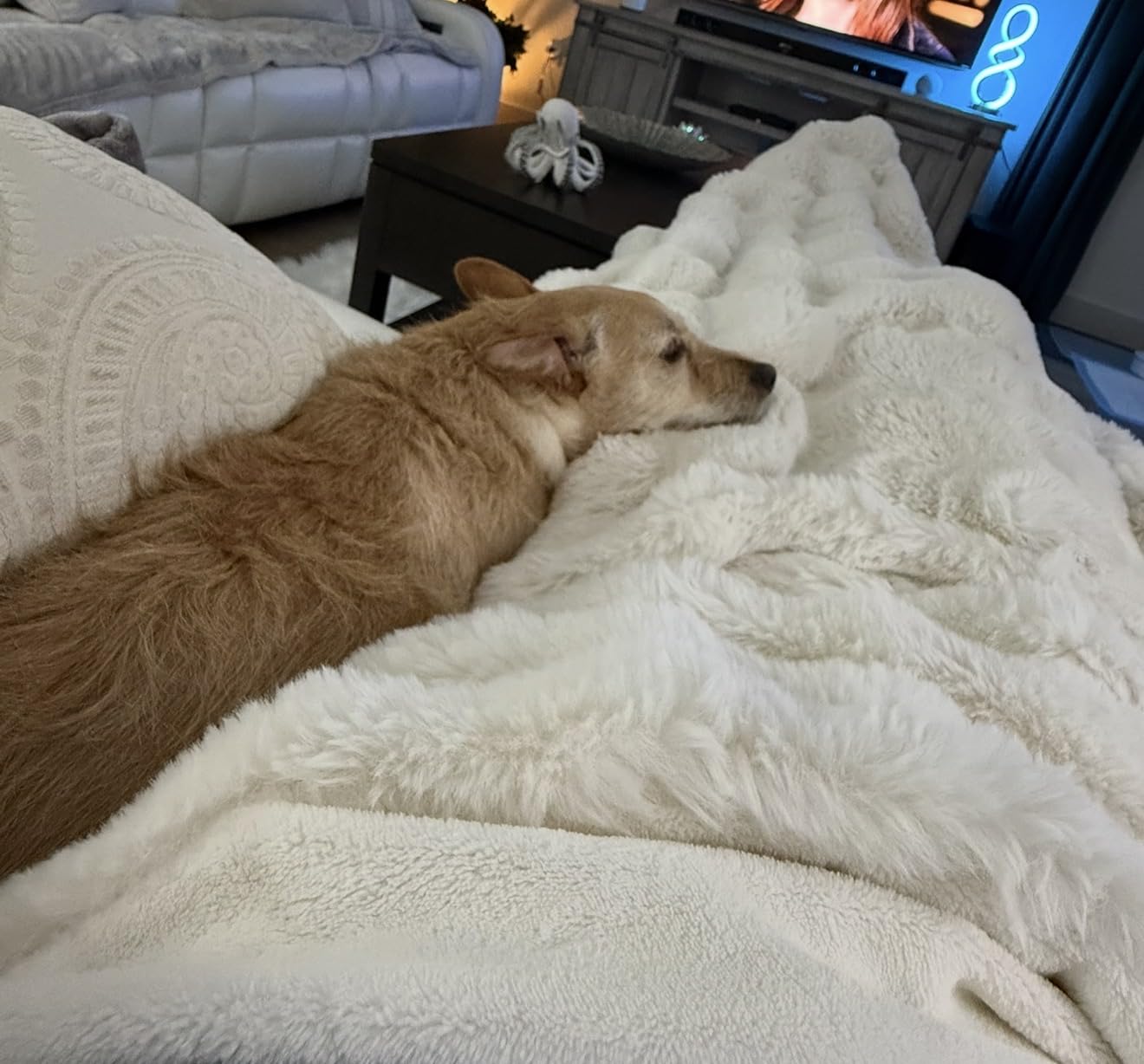 Cozy Bliss Faux Fur Throw Blanket for Couch, Fuzzy Soft Plush Thick Bubble Blanket for Sofa Bedroom Living Room, 50 * 60 Inches Tie-dye Taupe customer photo 2