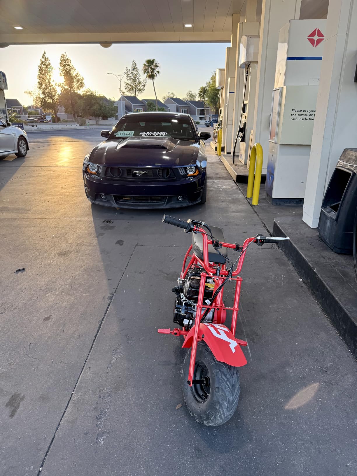 FRP Mini Dirt Bike GMB100, 99 CC Gas Powered Mini Bike 4 Stroke 3HP, Off Road Mini Bikes for Teens and Adult, Trail Bike Up to 28 Mph, Weight Support Up to 220 LBS (Black) customer photo 1