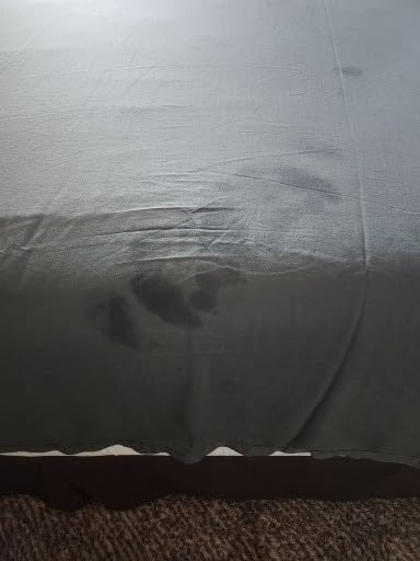 Cariloha Aloha Soft 100% Organic Bamboo Viscose Sheets - 4-Piece Queen Sheet Set - 16 in Deep Pockets - Buttery Soft, Hypoallergenic, Cooling Sheets - Oeko-TEX Standard 100 - Natural customer photo 2
