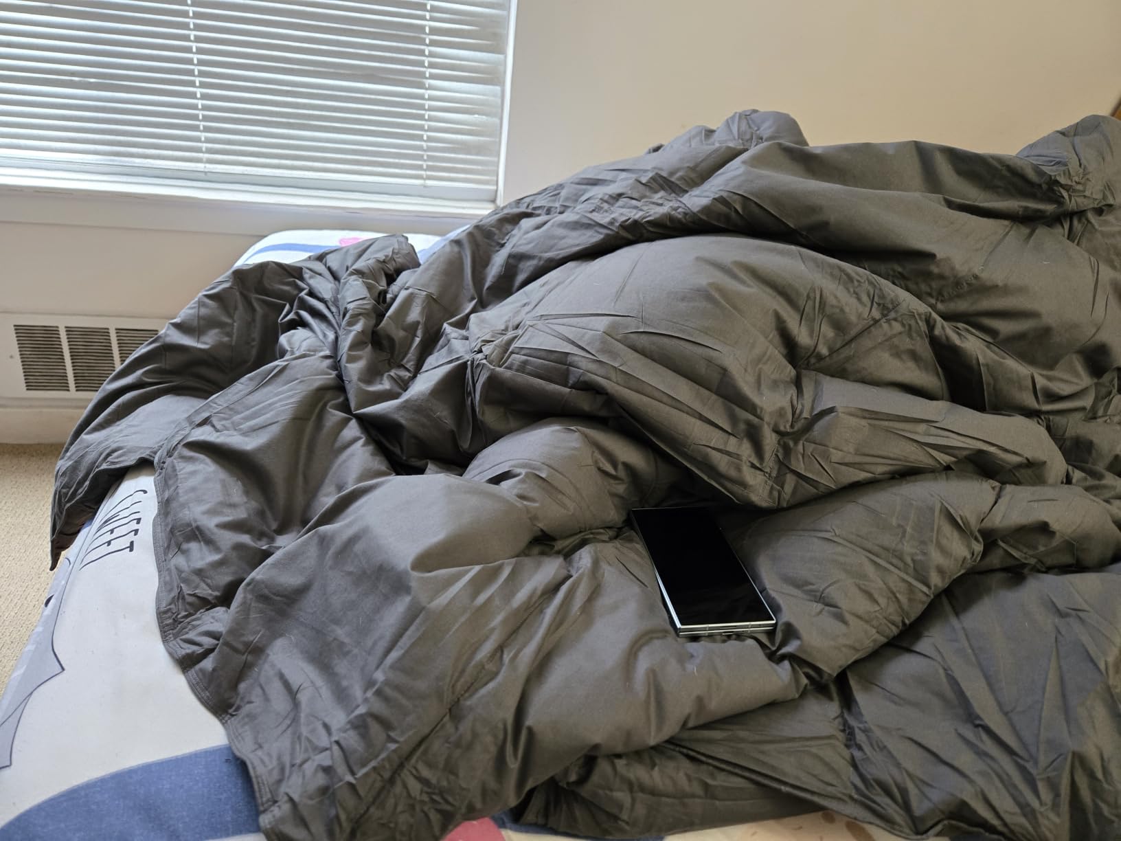 Goose Feather Down Comforter Queen Size, 100% Organic Cotton Duvet Insert, All-Season Luxury Duvet Insert with Baffle Box Design, 750+ Fill Power Hotel Collection Bedding Comforter customer photo 1