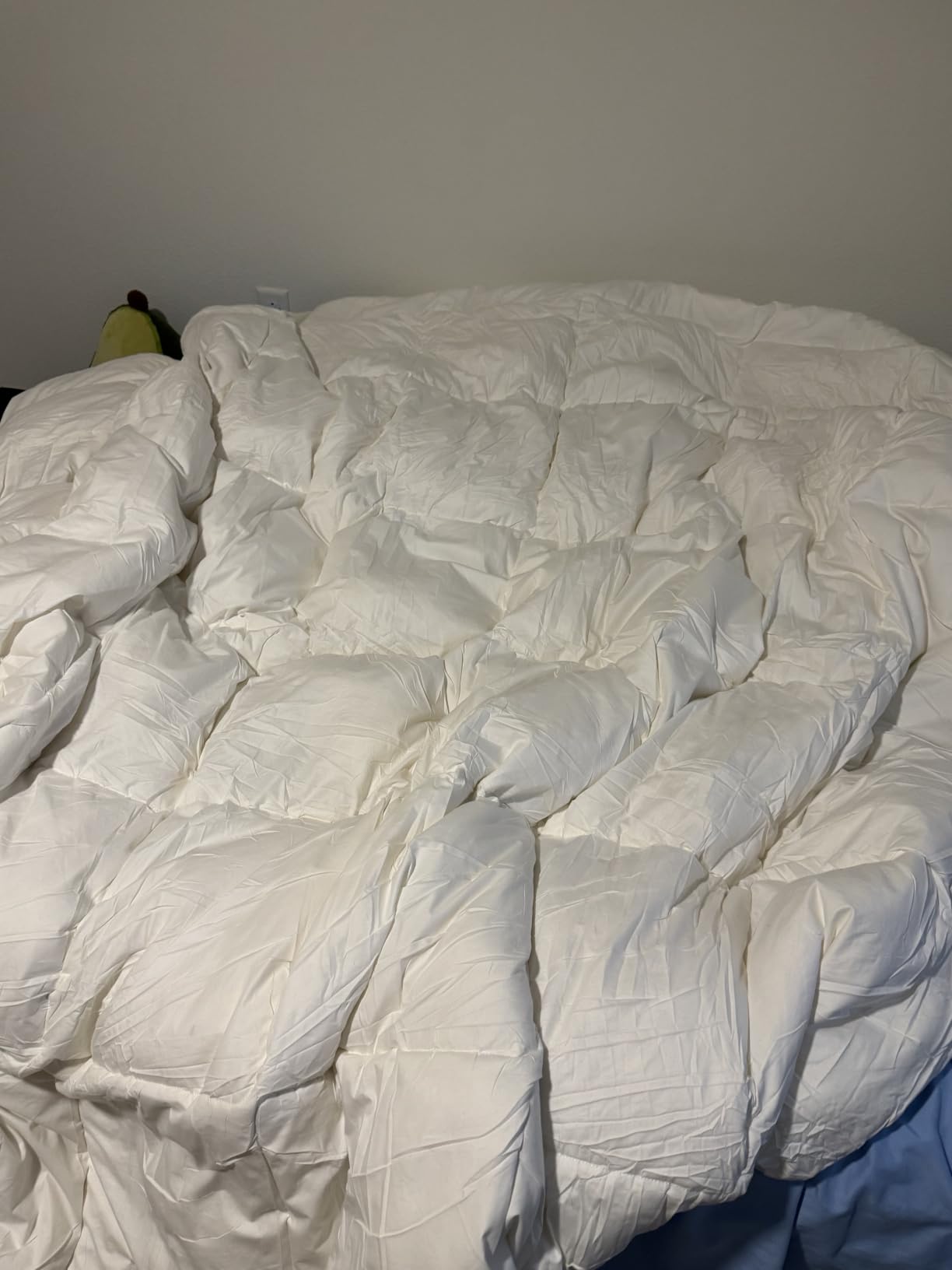 Goose Feather Down Comforter Queen Size, 100% Organic Cotton Duvet Insert, All-Season Luxury Duvet Insert with Baffle Box Design, 750+ Fill Power Hotel Collection Bedding Comforter customer photo 2