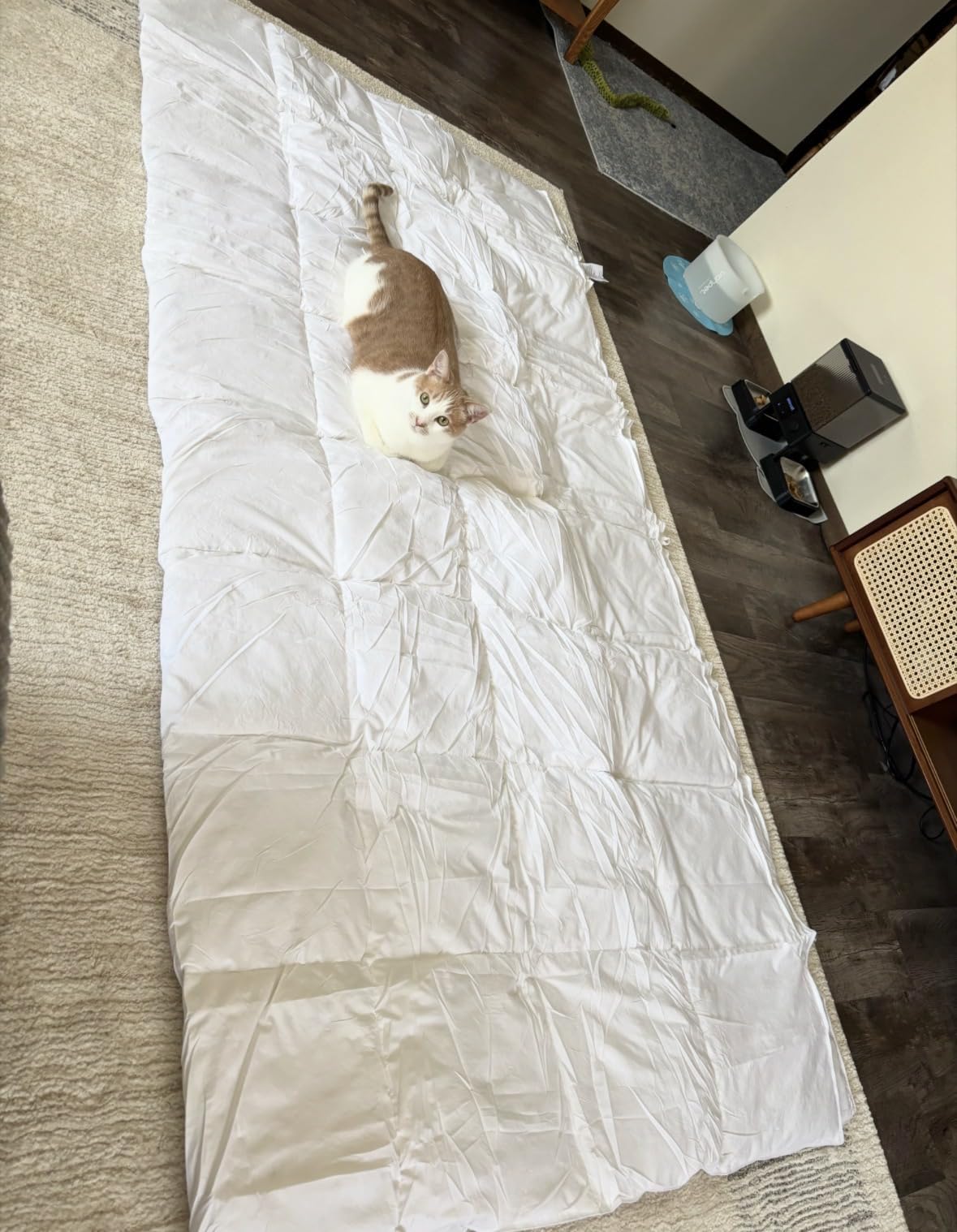 L LOVSOUL Goose Feather Down Fiber Comforter Queen Size, 100% Organic Cotton Fabric Duvet Insert,1200TC,750+Fill Power, Hotel Collection, All Season Grey Bedding Comforters with 8 Tabs customer photo 1