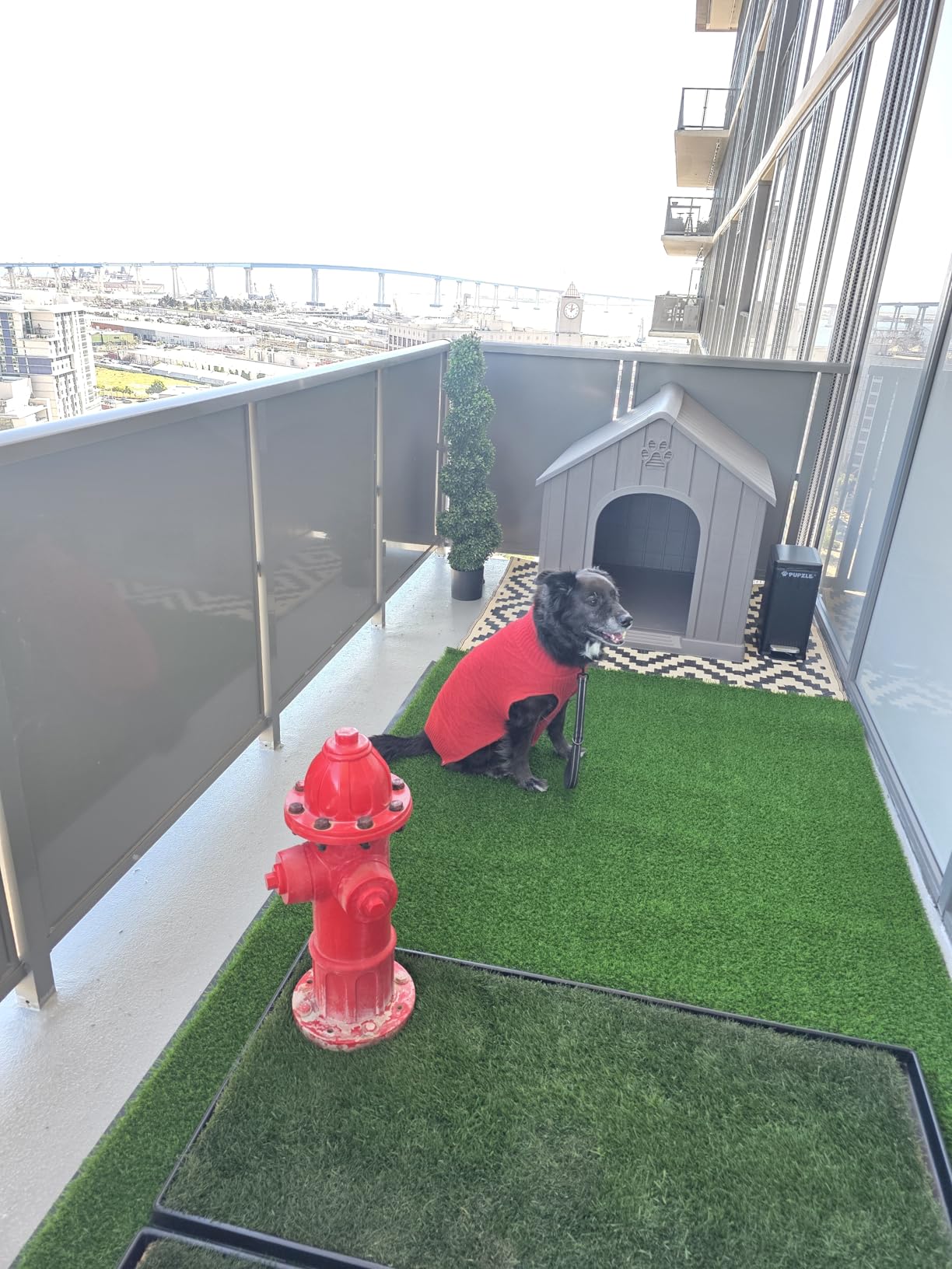 Bifanuo Large Dog House for Outdoor & Indoor, Waterproof Puppy Shelter with Air Vents & Elevated Floor, Easy Assemble Sturdy Dog Kennel for Large Dogs (Black, 36.2''Lx38''Wx38''H) customer photo 1