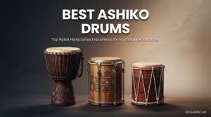 Best Ashiko Drums