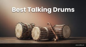 Best Talking Drums