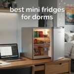 best mini fridges for dorms