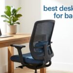 best desk chairs for back pain