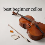 best beginner cellos