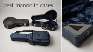 best mandolin cases