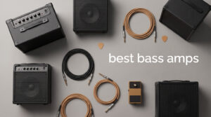 best bass amps