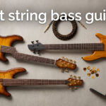 best 5 string bass guitars