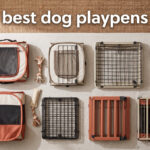 best dog playpens