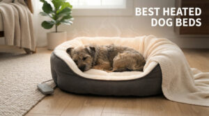best heated dog beds