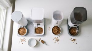 best automatic cat feeders