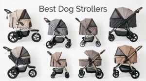 best dog strollers