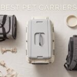 best pet carriers